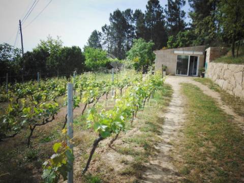 Terreno urbanizável em torgueda - vila real