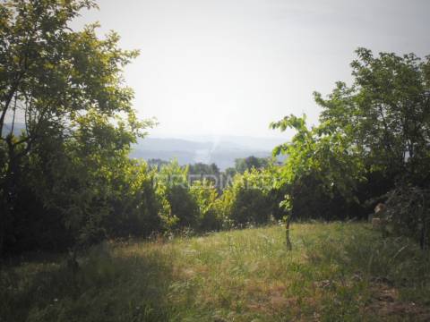 Terreno urbanizável em torgueda - vila real