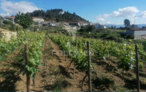 Terreno urbanizável em torgueda - vila real