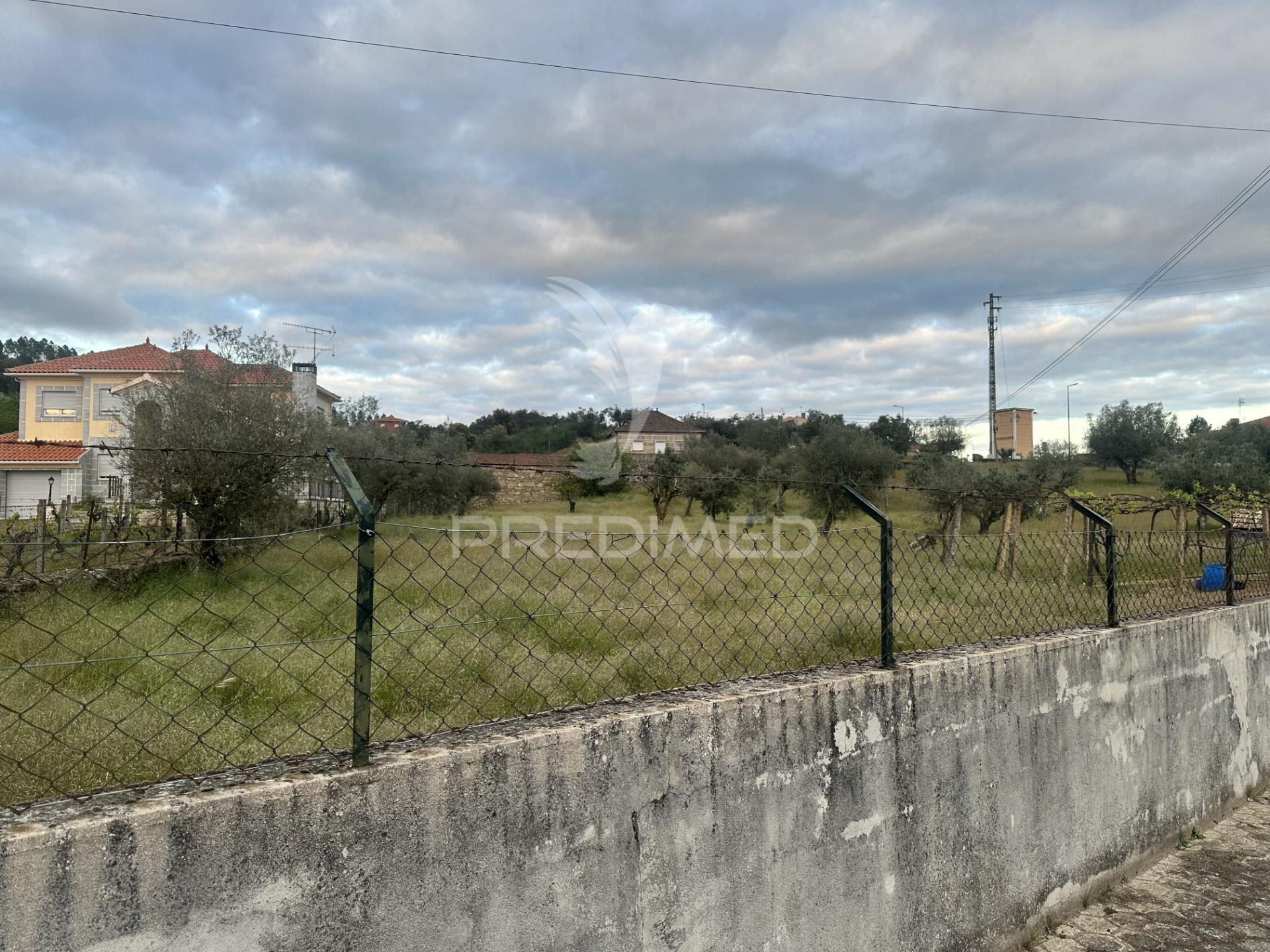 Moradia para restauro com 8.884m2 de terreno