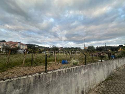 Moradia para restauro com 8.884m2 de terreno