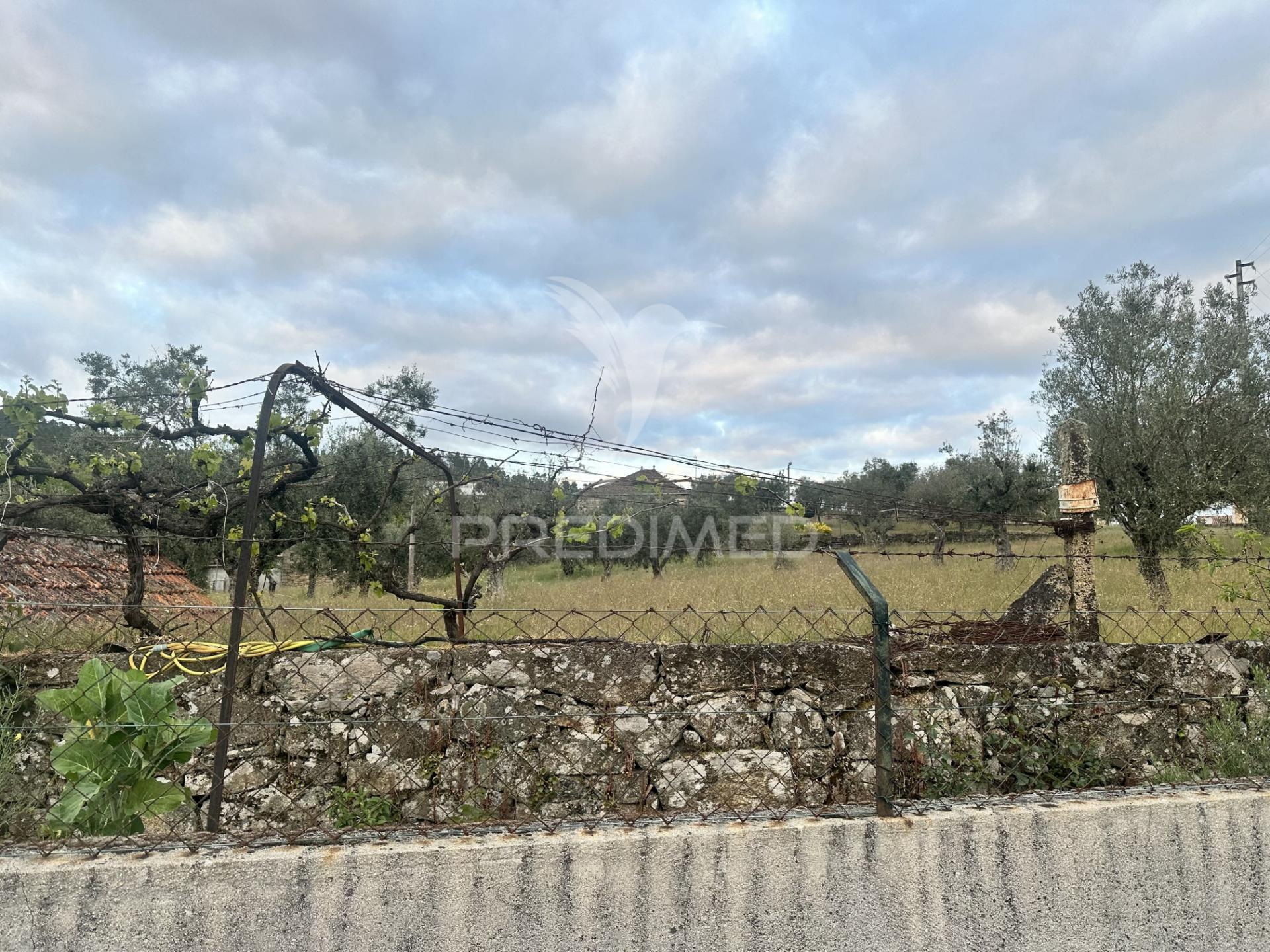 Moradia para restauro com 8.884m2 de terreno