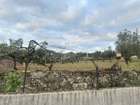 Moradia para restauro com 8.884m2 de terreno