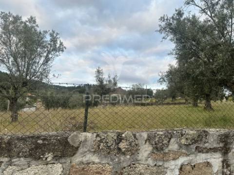 Moradia para restauro com 8.884m2 de terreno