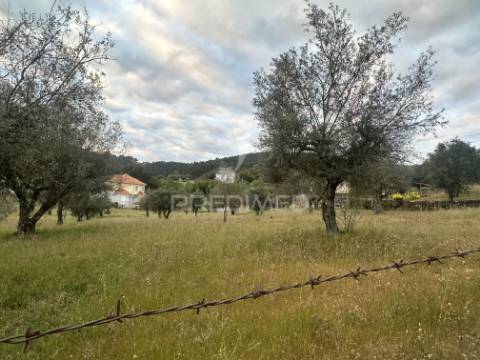 Moradia para restauro com 8.884m2 de terreno