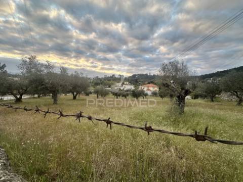 Moradia para restauro com 8.884m2 de terreno