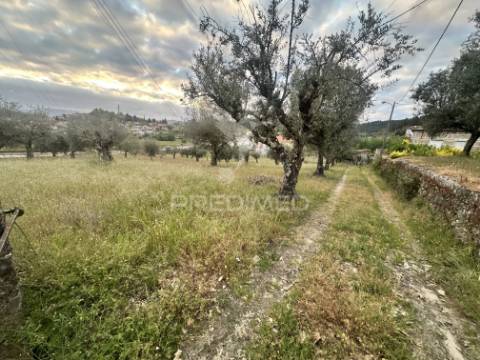 Moradia para restauro com 8.884m2 de terreno