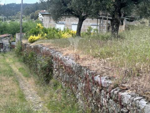 Moradia para restauro com 8.884m2 de terreno