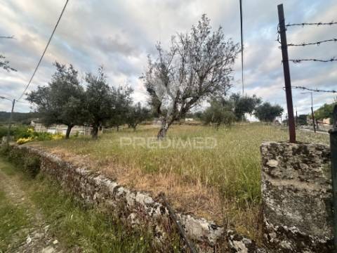 Moradia para restauro com 8.884m2 de terreno