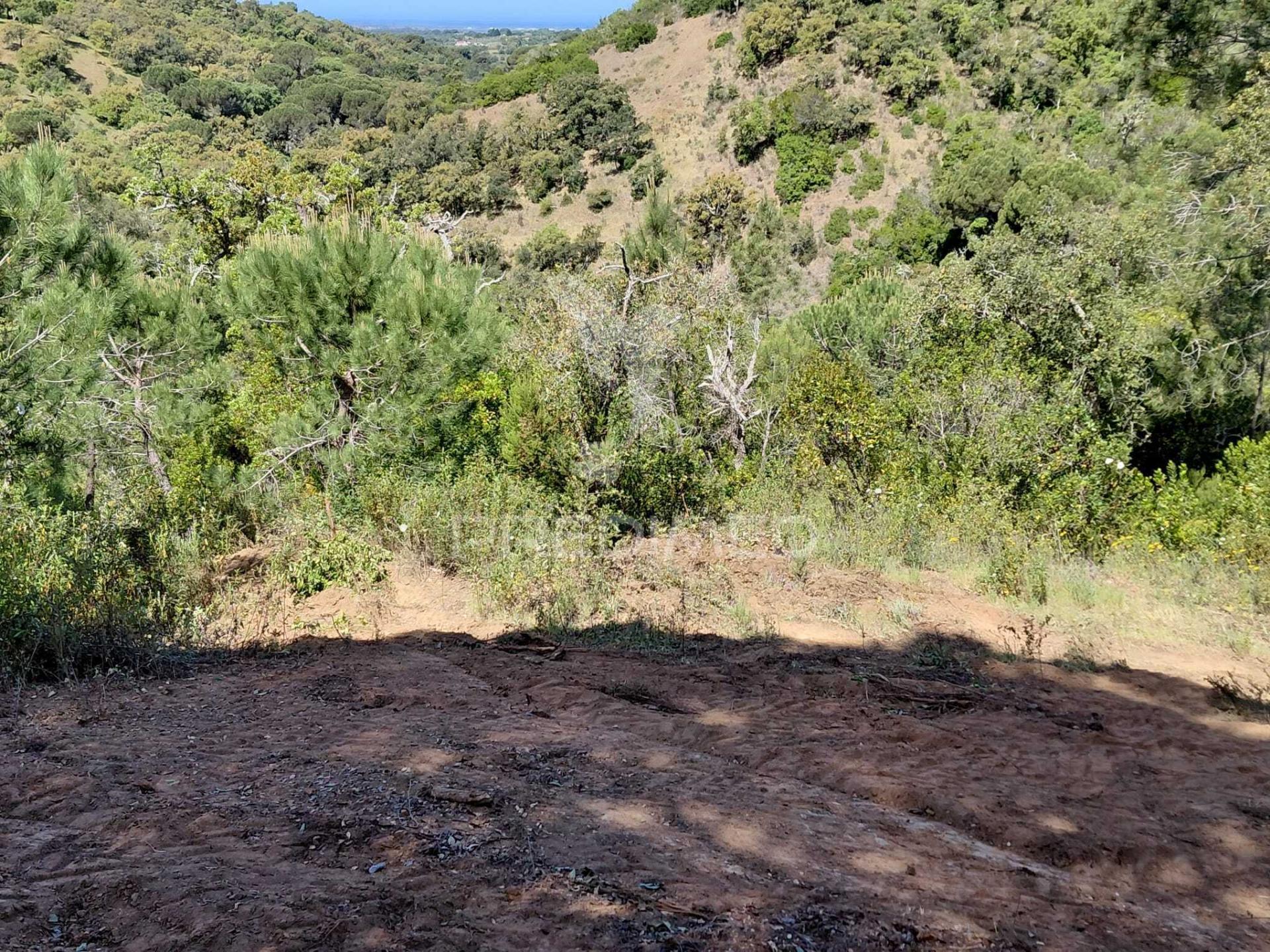 Terreno rústico com viabilidade para hotel rural, s.francisco da serra.