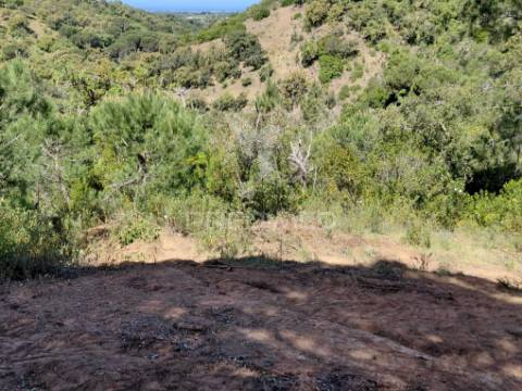 Terreno rústico com viabilidade para hotel rural, s.francisco da serra.