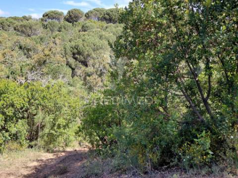 Terreno rústico com viabilidade para hotel rural, s.francisco da serra.