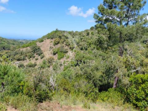 Terreno rústico com viabilidade para hotel rural, s.francisco da serra.