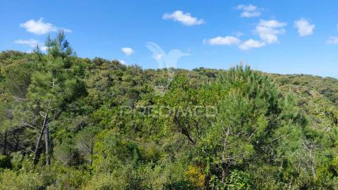 Terreno rústico com viabilidade para hotel rural, s.francisco da serra.