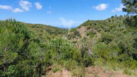 Terreno rústico com viabilidade para hotel rural, s.francisco da serra.