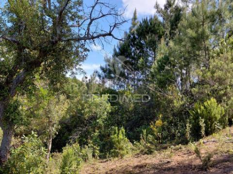 Terreno rústico com viabilidade para hotel rural, s.francisco da serra.