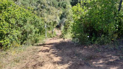 Terreno rústico com viabilidade para hotel rural, s.francisco da serra.