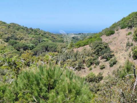 Terreno rústico com viabilidade para hotel rural, s.francisco da serra.