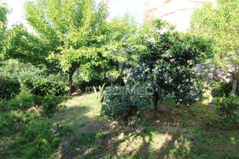 Quintinha com moradia t3 em fonte arcada, penafiel