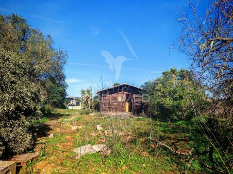 Terreno com agua e luz