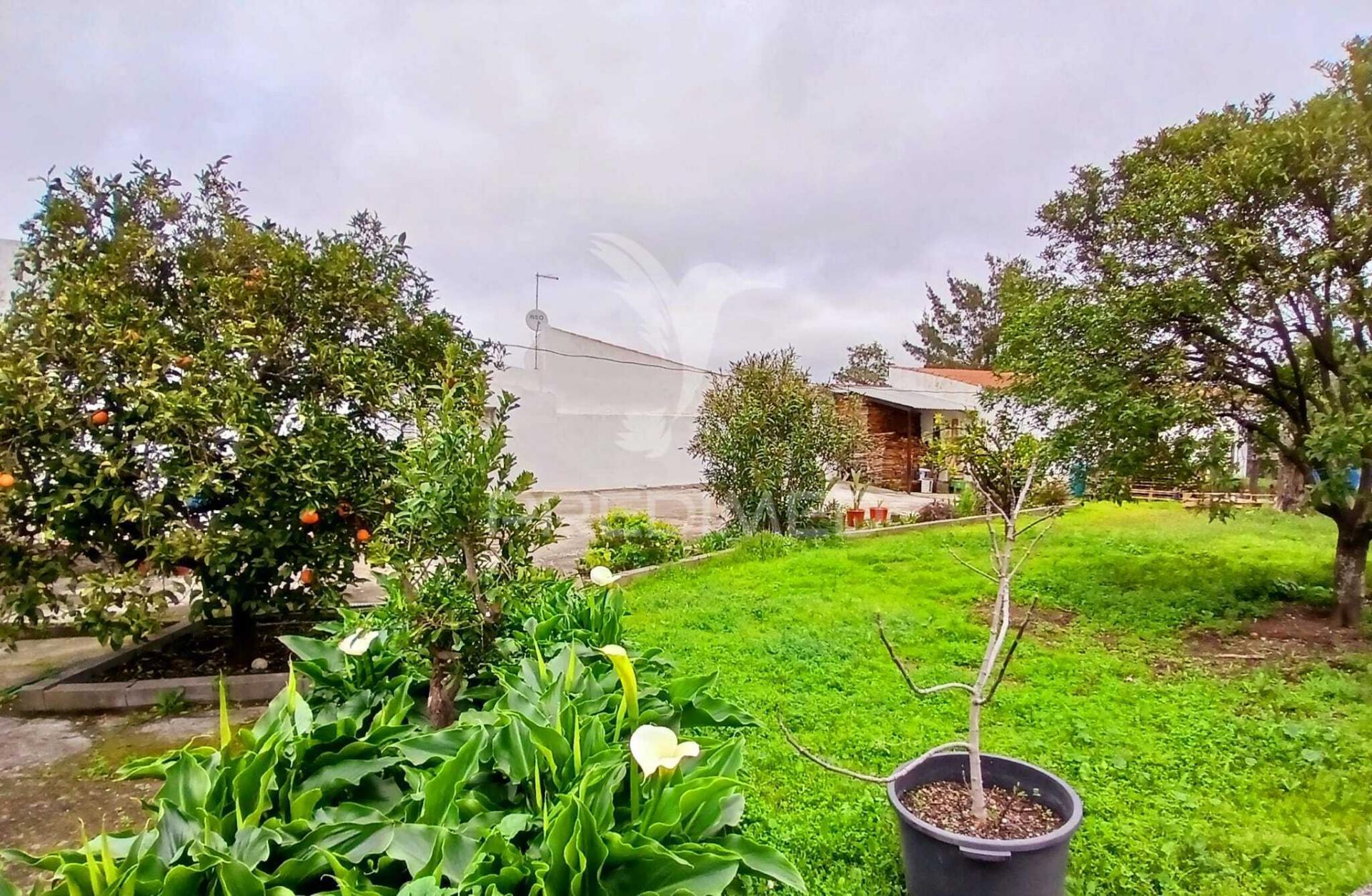 Moradia térrea t4 - baleizão