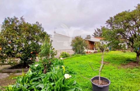 Moradia térrea t4 - baleizão