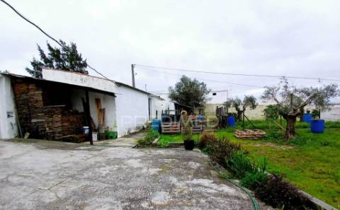 Moradia térrea t4 - baleizão