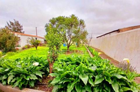 Moradia térrea t4 - baleizão