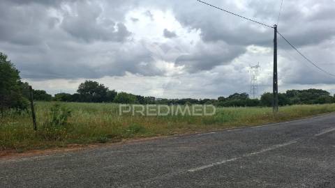 Terreno rústico com 2,19 ha em achete, santarém.