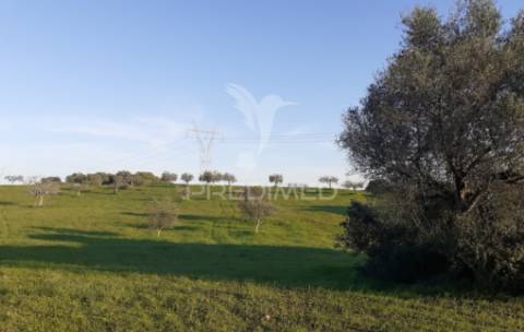 Terreno rústico com 2,19 ha em achete, santarém.