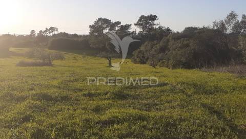 Terreno rústico com 2,19 ha em achete, santarém.