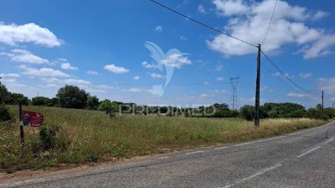 Terreno rústico com 2,19 ha em achete, santarém.
