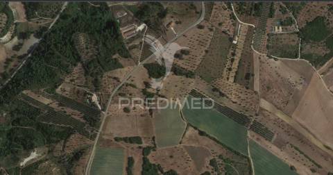 Terreno rústico com 2,19 ha em achete, santarém.