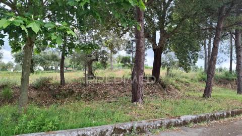 Terreno rústico com viabilidade construtiva para habitação.