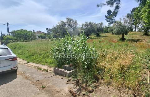 Terreno rústico com viabilidade construtiva para habitação.