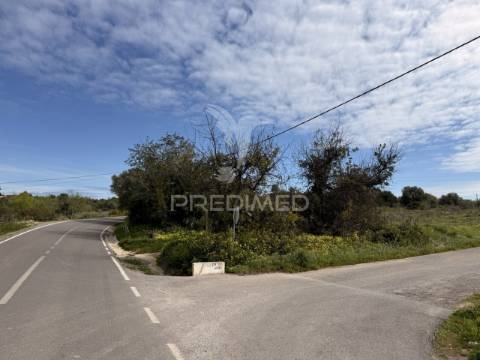 Terreno com ruína e potencial de construção – conceição de faro | próximo de faro