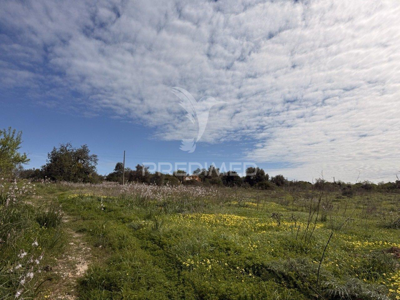 Terreno com ruína e potencial de construção – conceição de faro | próximo de faro