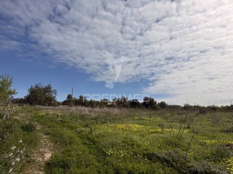 Terreno com ruína e potencial de construção – conceição de faro | próximo de faro