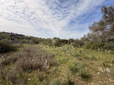 Terreno com ruína e potencial de construção – conceição de faro | próximo de faro