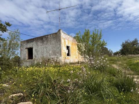 Terreno com ruína e potencial de construção – conceição de faro | próximo de faro