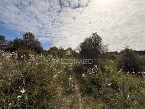 Terreno com ruína e potencial de construção – conceição de faro | próximo de faro