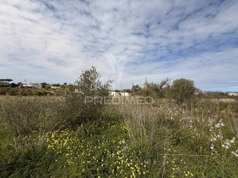Terreno com ruína e potencial de construção – conceição de faro | próximo de faro