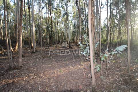 Terreno rústico com viabilidade construtiva, lagares, penafiel
