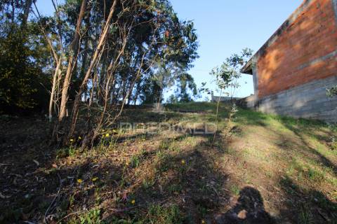 Terreno rústico com viabilidade construtiva, lagares, penafiel