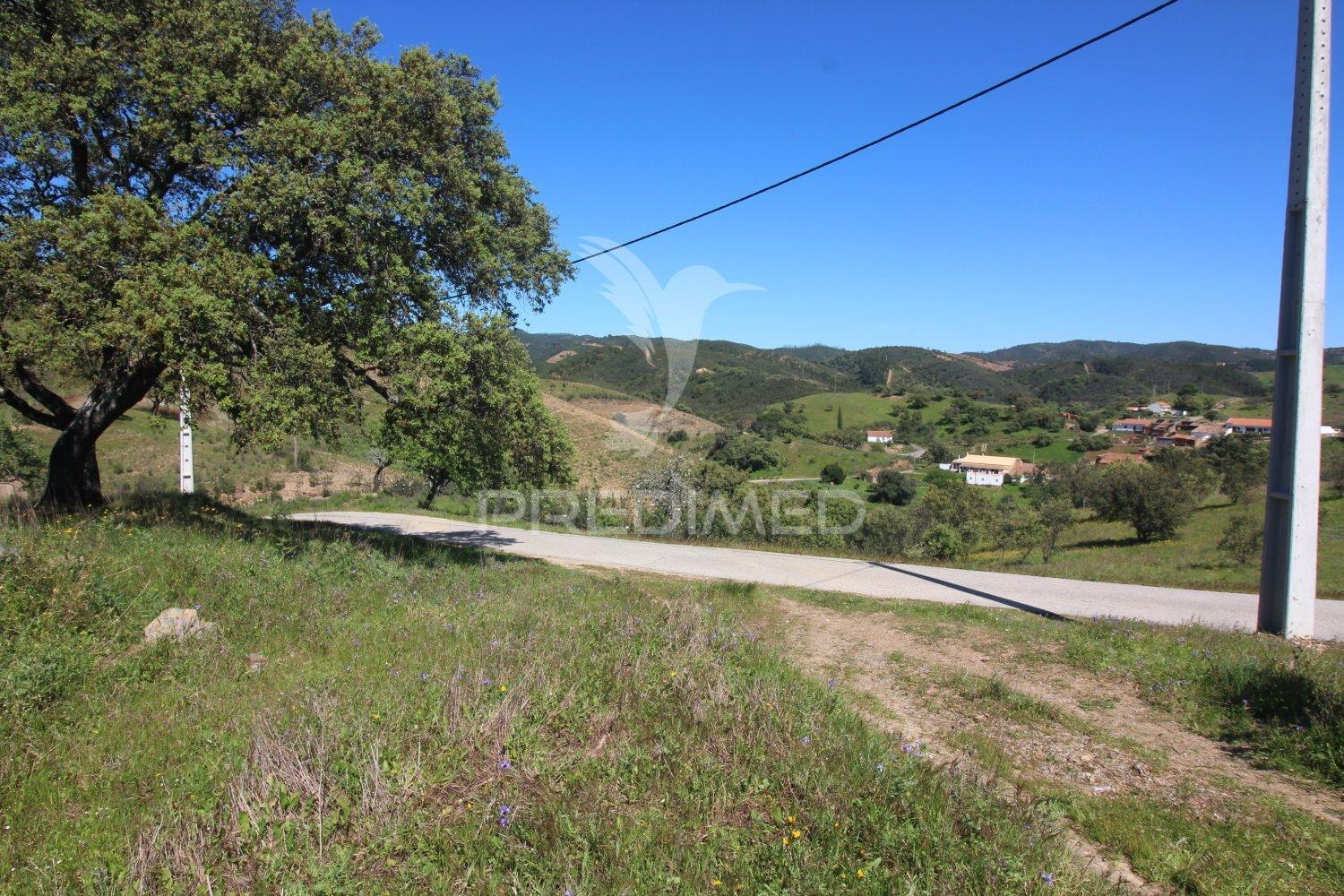 Ruína em pedra geminada, com terreno de 2,3 hectares
