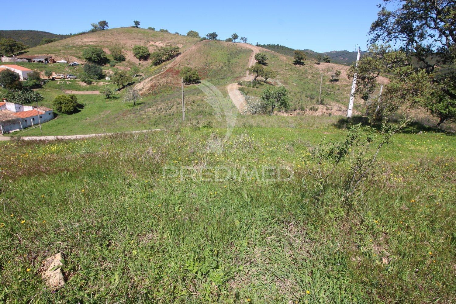 Ruína em pedra geminada, com terreno de 2,3 hectares