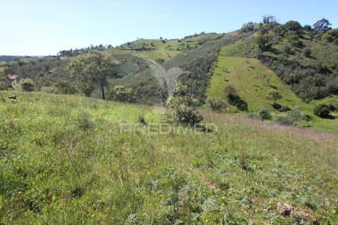 Ruína em pedra geminada, com terreno de 2,3 hectares