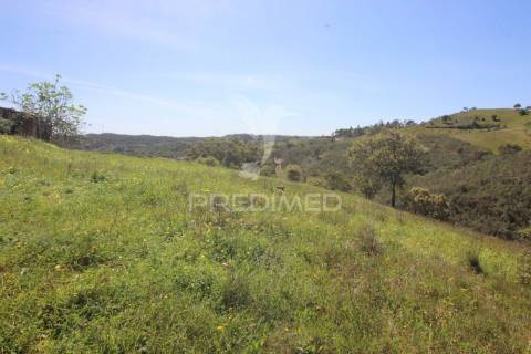 Ruína em pedra geminada, com terreno de 2,3 hectares