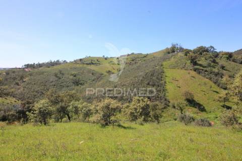 Ruína em pedra geminada, com terreno de 2,3 hectares