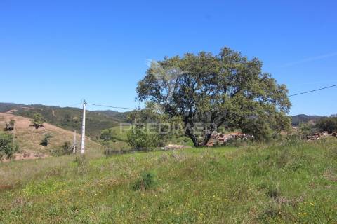 Ruína em pedra geminada, com terreno de 2,3 hectares